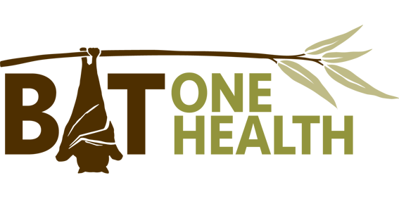 BatOneHealth